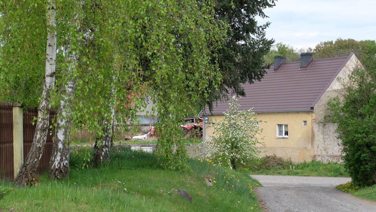 Idyllic rural house with lush trees, green grass in spring setting.